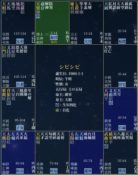 シビシビで生成した紫微斗数の命盤。12のマスに星が配置された1枚の図